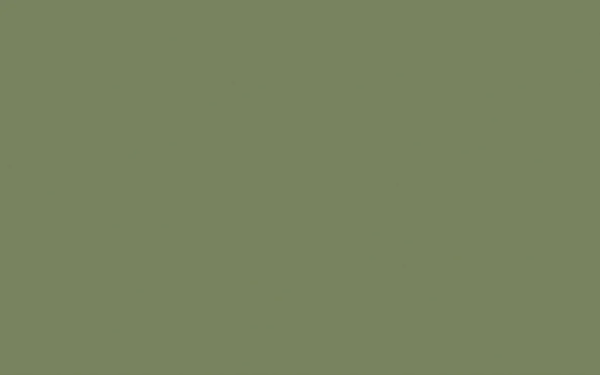 Little Greene Interior Oil Eggshell (2.5L) - Image 40